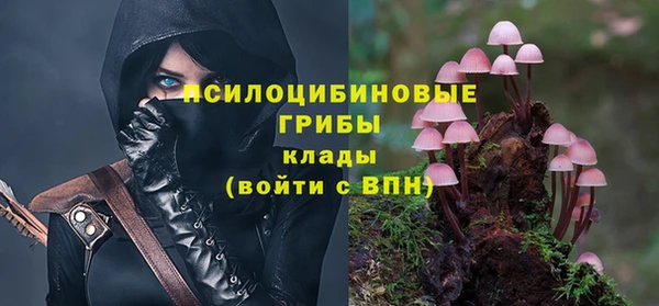 apvp Алексин