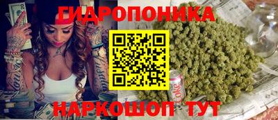 PSILOCYBIN Гай