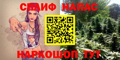 PSILOCYBIN Гай