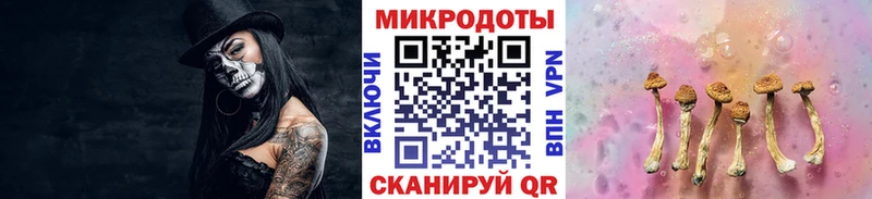 купить  сайты  Нефтекамск  hydra ссылки  Псилоцибиновые грибы Psilocybe 